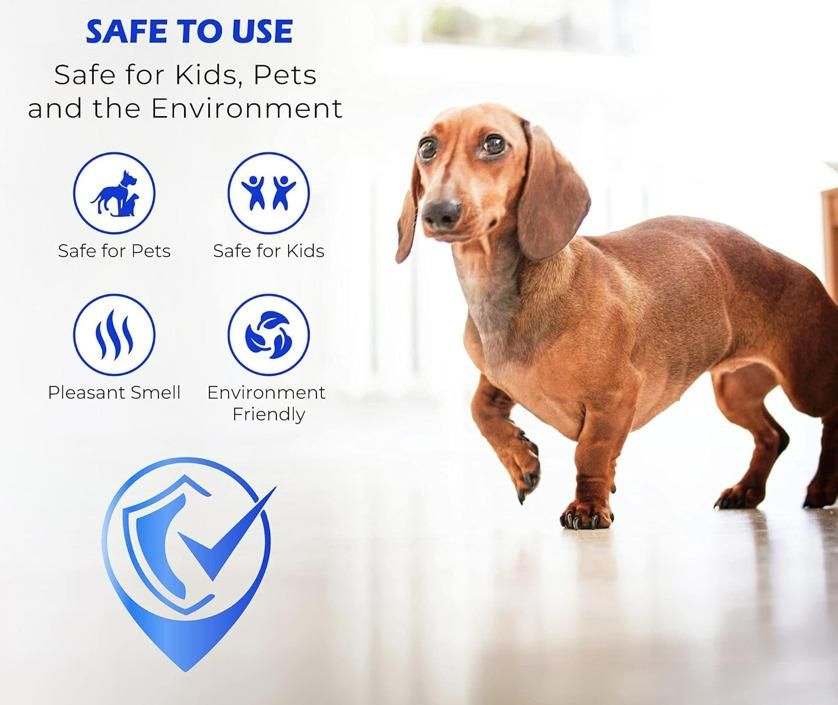 Floor Restore-eez 100 ml Pack of 1