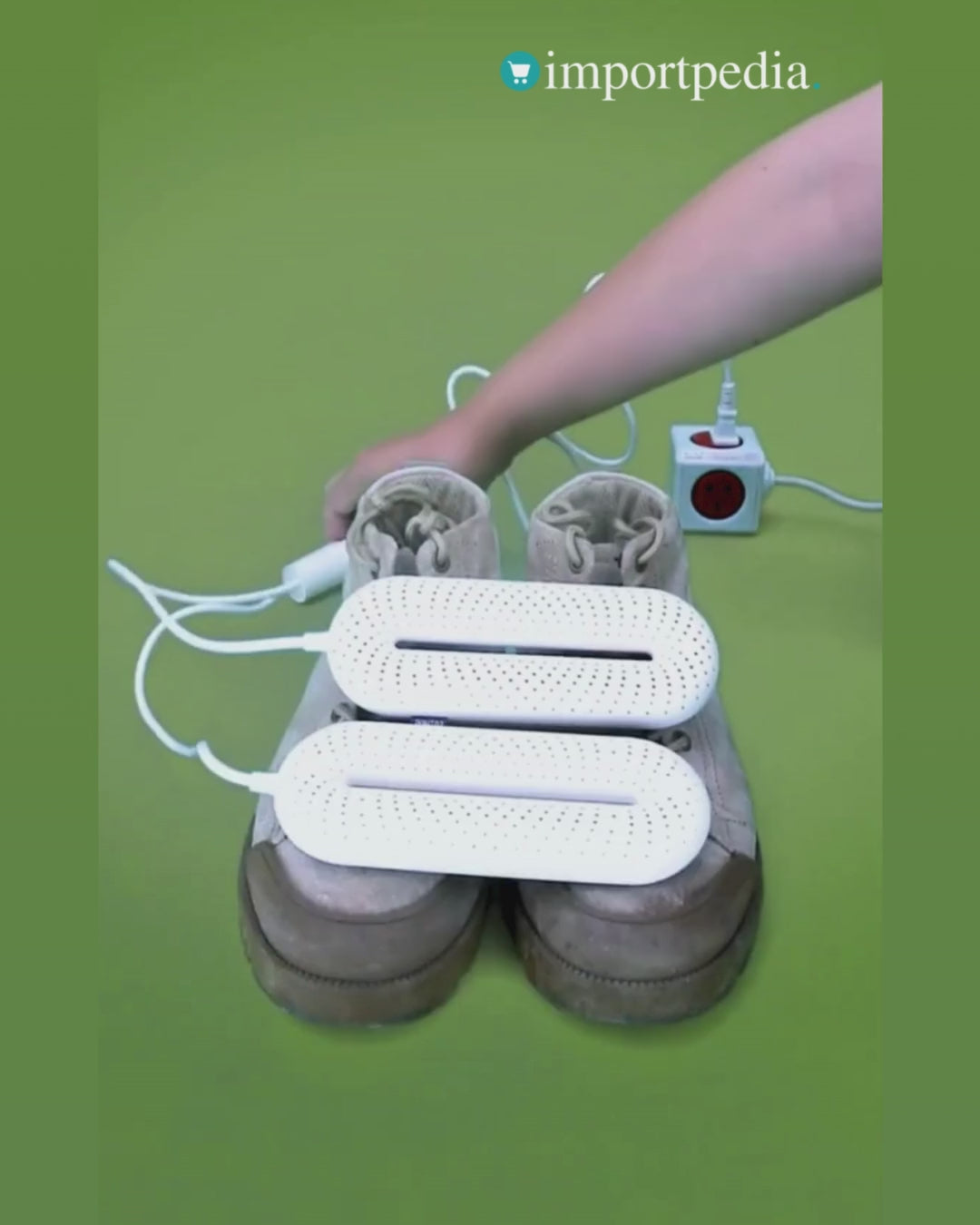 Electric Shoe Dryer with Odour Removal